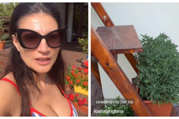imagini cu gradina ioanei ginghina ce legume a plantat vedeta si cine se ocupa de ele sa nu ziceti ca nu fac nimic am zis sa va arat 6a253f1dd789e
