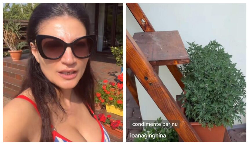 imagini cu gradina ioanei ginghina ce legume a plantat vedeta si cine se ocupa de ele sa nu ziceti ca nu fac nimic am zis sa va arat 6a253f1dd789e