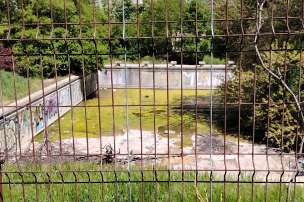 inca una dupa sala polivalenta si stadion nou constanta va avea si bazin de inot 6a3e6c0adf62c