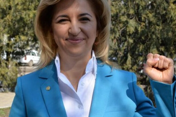 irina vlah fosta bascana a gagauziei a fost inclusa pe lista de sanctiuni ale ue motivele din spatele deciziei 6a30036497d82