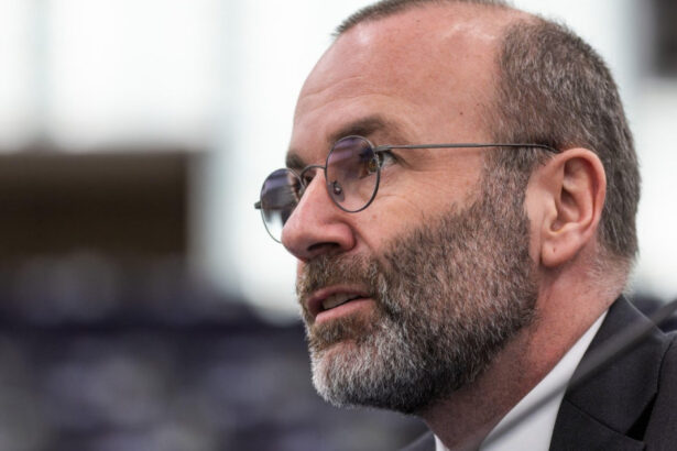manfred weber dupa ce ilie bolojan a fost reconfirmat in fruntea pnl cetatenii isi doresc claritate si leadership 6a3816fe3971e
