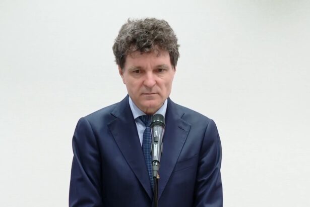 nicusor dan despre raportul privind drona din portul constanta suntem intr un progres cooperarea cu ucraina s a imbunatatit 6a43c52de8894