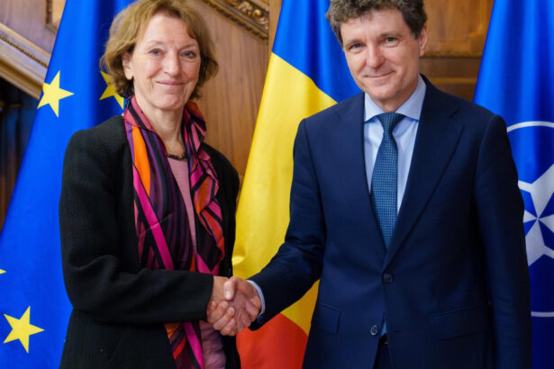 nicusor dan intalnire cu sefa consiliului europen pentru cercetare sa construim institutii capabile sa sustina talent stiintific 6a2d8d1406eef