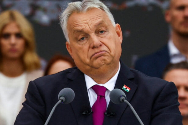 parlamentul ungariei limiteaza mandatele premierilor la 8 ani pentru ca viktor orban sa nu poata reveni la putere 6a30349bb3bdc