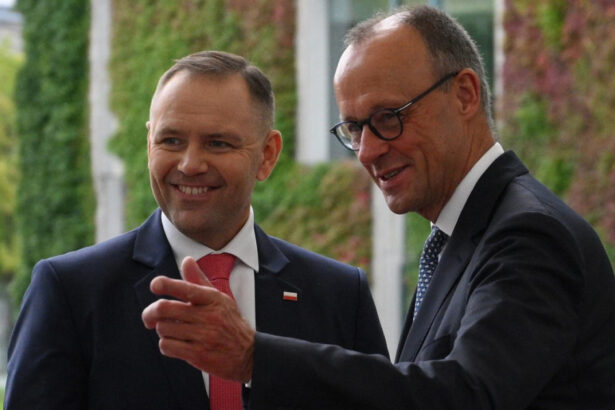 polonia si germania semneaza un acord de aparare limitat pe fondul tensiunilor politice interne ce i a transmis tusk lui merz 6a32523e86e7b