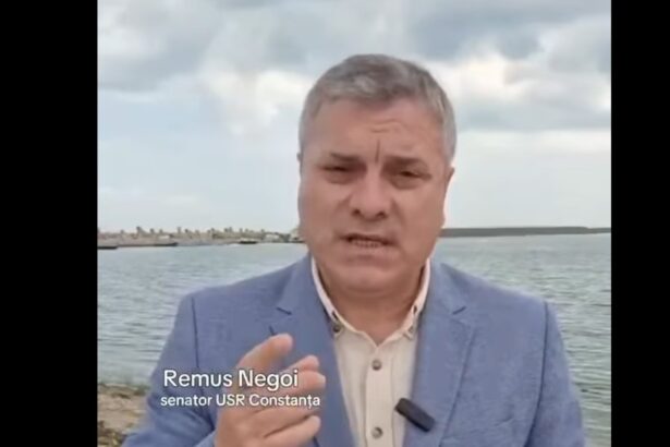 proiect pilot pentru plaje cu umbra naturala la mamaia nord navodari negoi usr saluta masurile concrete de modernizare a litoralului marea neagra nu este cosul de gunoi al nimanui 6a2ead2b0e628