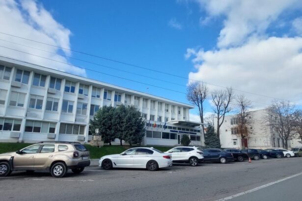 radu construct alpin continua seria contractelor cu primaria mangalia aproape 50 000 de lei pentru intretinerea lacului 2 6a2f347133bee