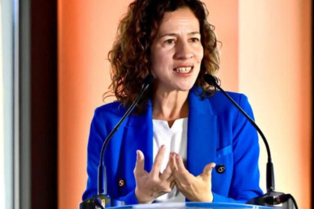 roxana minzatu de azi scolile europene au un ghid comun pentru a preda inteligenta artificiala cum va fi integrat in scoli 6a35069866d07