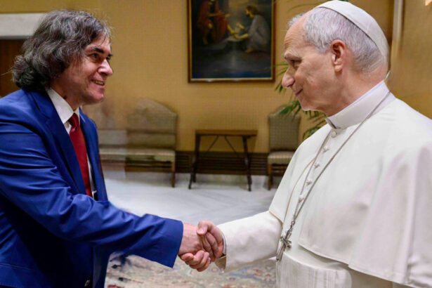 scriitorul mircea cartarescu a fost primit la vatican de papa leon al xiv lea 6a3cd41175e6b