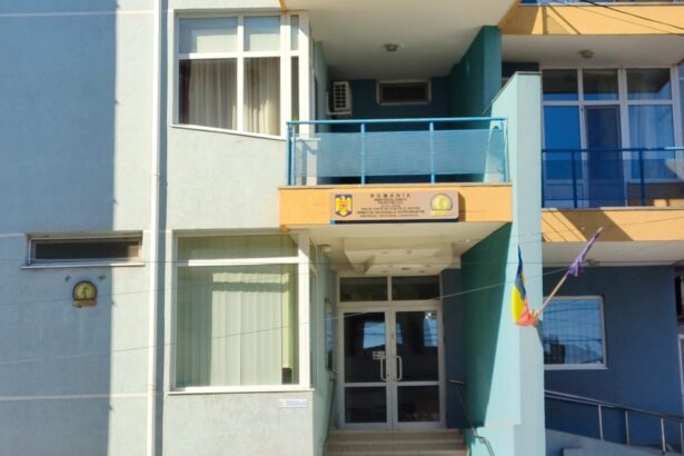 seful parchetului de pe langa judecatoria harsova numit procuror la dna 6a31521e32a38