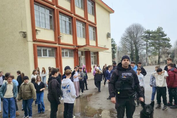 siguranta elevilor in cifre aproape 1 000 de actiuni ale jandarmilor in anul scolar la constanta bullying droguri si violenta 6a43816211cea