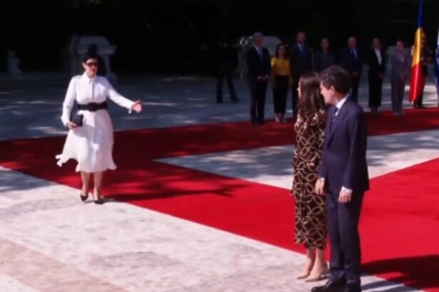 sosoaca scrisoare catre nicusor dan de ce duceti in derizoriu ideea de familie prin neasumarea casatoriei cu femeia cu care aveti doi copii 6a428fbf01cff