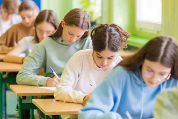 subiectele la limba romana de la evaluarea nationala 2026 au fost publicate de ministerul educatiei 6a3925916a034