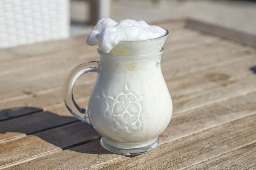 test de cultura generala care este diferenta dintre chefir si ayran 6a33fc0d3022a