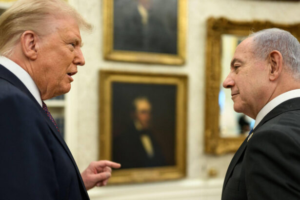 trump il critica pe netanyahu si cere ca israelul sa lase siria sa se ocupe de hezbollah in liban 6a31a23f0f4b6