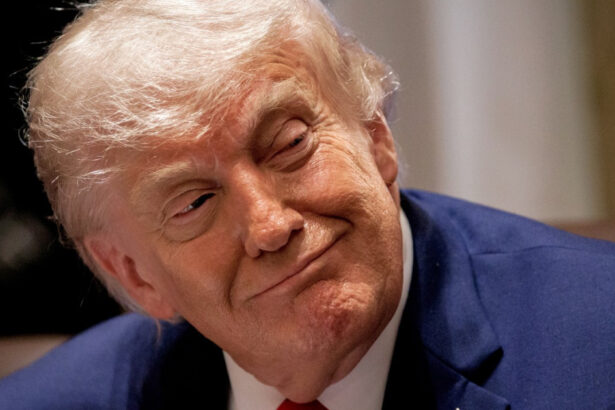 trump isi pune chipul pe noul pasaport american bun venit dar purtati va bine decizie fara precedent in istoria sua 6a3f7008d3832