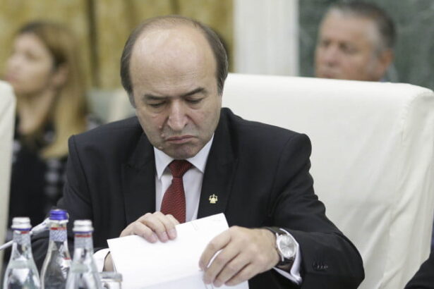 tudorel toader contrazice usr in cazul dominic fritz prefectul trebuie sa constate incetarea mandatului de primar 6a35c511c5c33