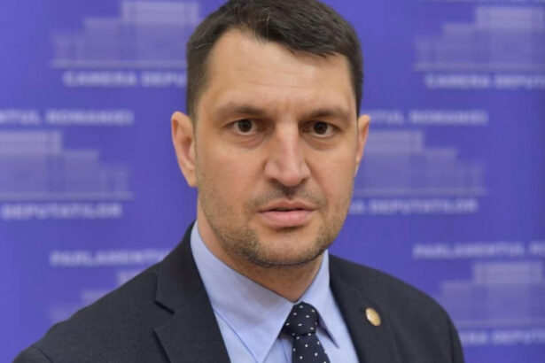 un deputat pnl ii cere lui adrian vestea sa participe la congresul extraordinar de ce fugem lasati delegatii sa decida 6a36584a303a1