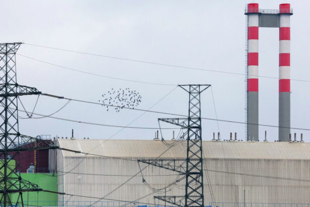 ungaria reduce productia de energie la centrala nucleara paks dupa ce temperatura dunarii a atins un prag critic 6a40c9330da65