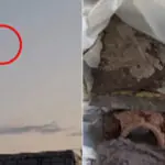 video alerta in tulcea resturi de drona gasite pe un camp militarii au decis detonarea din cauza riscului de explozie 6a437cef1a700