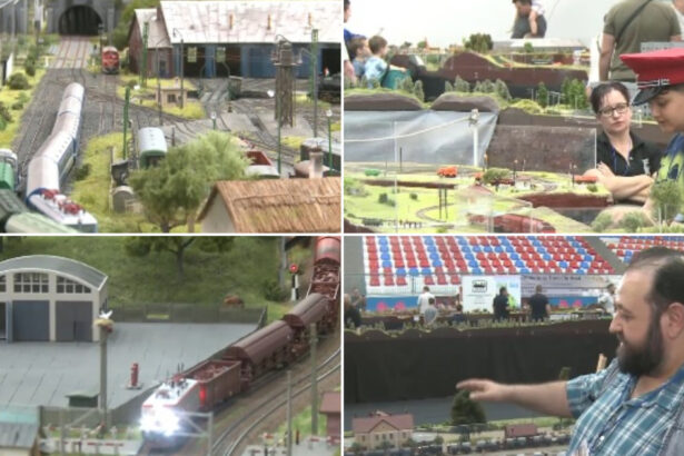 video calatorie in timp cu trenul zeci de colectionari din patru tari au reconstituit impreuna istoria feroviara a ultimelor doua secole 6a25175bd35de