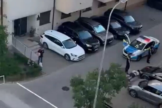 video panica intr un cartier din bucuresti doua clanuri rivale s au amenintat cu topoare si pistoale 6a317162da3fb