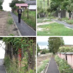 video paradox intr o comuna fara asfalt si canalizare piste de biciclete pe drumuri de pamant localnica am vacuta si merge pe piste 6a30cc097b136