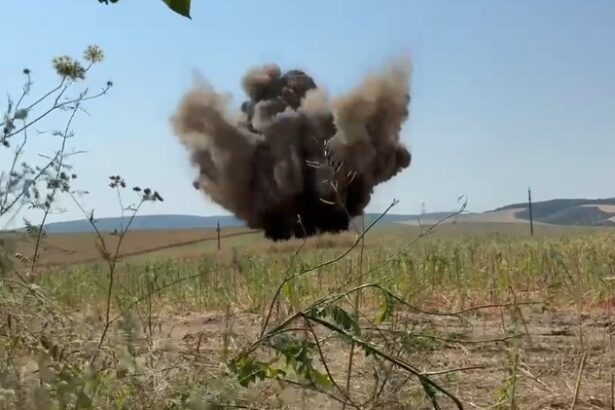 video resturi de drona cu incarcatura explozibila descoperite in judetul tulcea 6a43830715aea