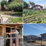 video romanii fug de agitatia oraselor sapte din 10 locuinte sunt construite la sat ce spun cei care s au mutat deja la tara 6a2526b9a23d4