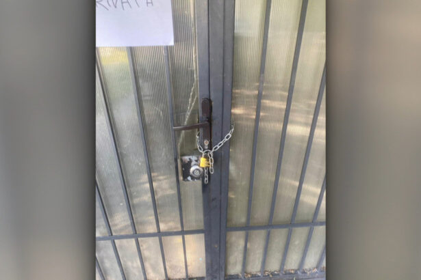 video situatie neobisnuita la craiova locatarii unui bloc trec prin magazin ca sa ajunga acasa un barbat a pus lacat pe poarta de acces 6a30ef3c7a766
