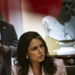 video tulsi gabbard acuza autoritatile americane ca au facut eforturi pentru a modela perceptia publica asupra originii pandemiei 6a3545e09dd9b