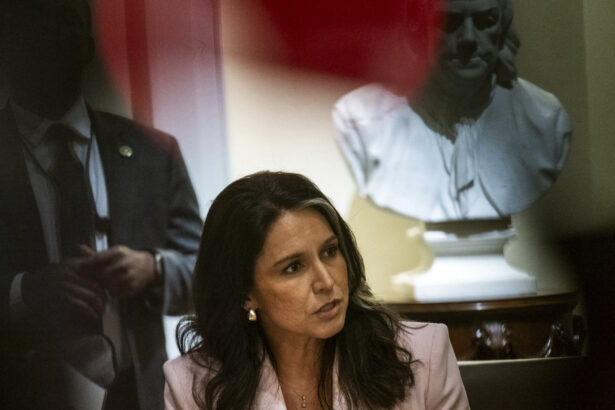 video tulsi gabbard acuza autoritatile americane ca au facut eforturi pentru a modela perceptia publica asupra originii pandemiei 6a3545e09dd9b