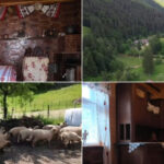 video vacanta la tara in casele localnicilor platforma care deschide portile gospodariilor pentru oaspeti vai de mine cu toata placerea 6a3a50297d4e4