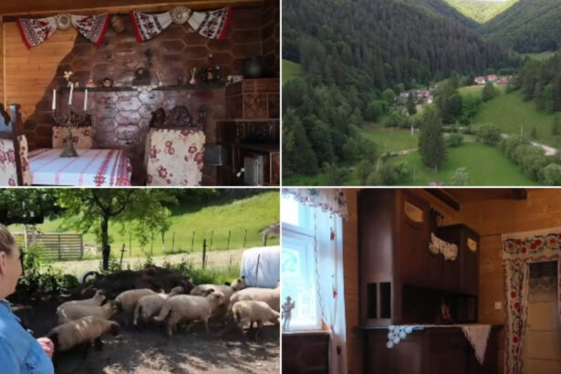 video vacanta la tara in casele localnicilor platforma care deschide portile gospodariilor pentru oaspeti vai de mine cu toata placerea 6a3a50297d4e4