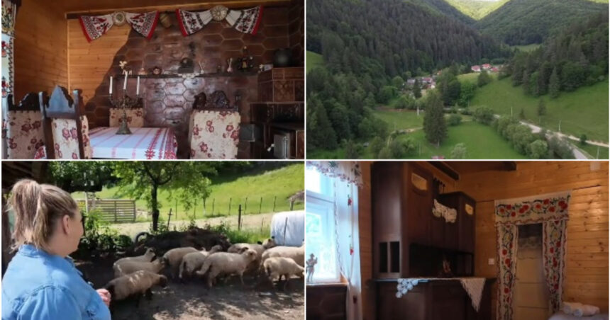 video vacanta la tara in casele localnicilor platforma care deschide portile gospodariilor pentru oaspeti vai de mine cu toata placerea 6a3a50297d4e4