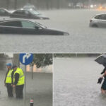 videofoto vremea extrema loveste romania strazi inundate copaci cazuti si gospodarii sub ape peste 2 800 de oameni au ramas fara curent 6a3add2547e82