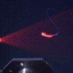 zeci de noi specii incredibile de animale au fost descoperite in adancurile oceanului atlantic 6a380cc162e51