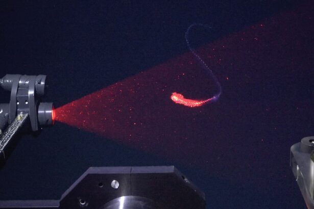 zeci de noi specii incredibile de animale au fost descoperite in adancurile oceanului atlantic 6a380cc162e51