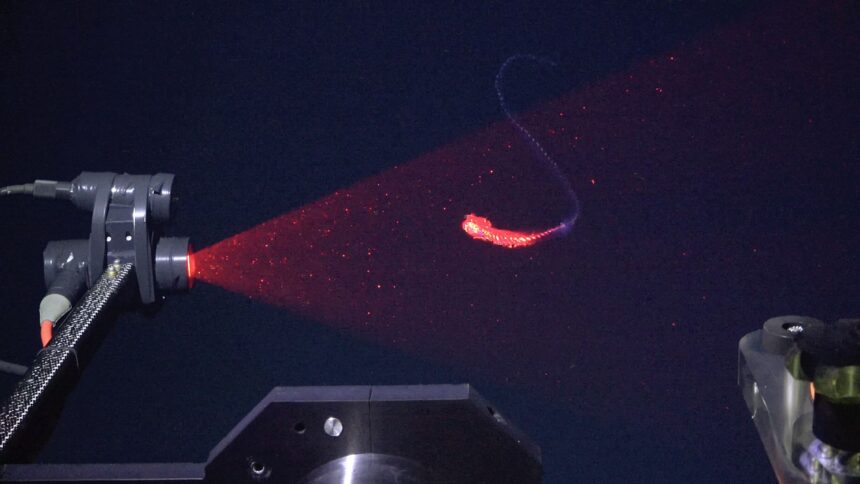 zeci de noi specii incredibile de animale au fost descoperite in adancurile oceanului atlantic 6a380cc162e51