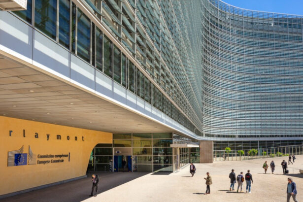 absolventii de scoli profesionale vor avea in premiera acces la stagii platite la comisia europeana ce trebuie sa stie candidatii 6a5936509b40b