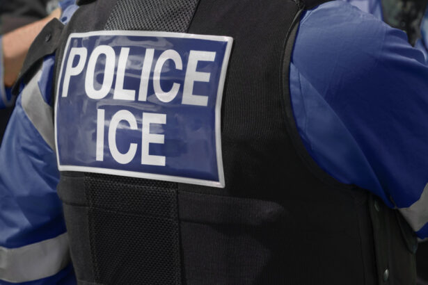 administratia trump suspenda majoritatea controalelor ice in trafic dupa ce agentii au impuscat mortal doi migranti 6a5723c81a81a