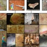adn uman antic a fost recuperat din arta rupestra pentru prima data ne am entuziasmat foarte tare 6a49223971998