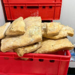 amenzi de peste un milion de lei dupa controalele anpc la comerciantii de produse de origine animala ce nereguli au fost descoperite 6a45183c69669