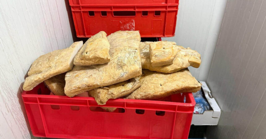 amenzi de peste un milion de lei dupa controalele anpc la comerciantii de produse de origine animala ce nereguli au fost descoperite 6a45183c69669