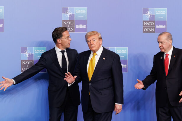 analiza nato a trecut cu bine la ankara peste o noua furtuna trump dar urmeaza alta revizuirea prezentei trupelor americane in europa 6a507708df0d9