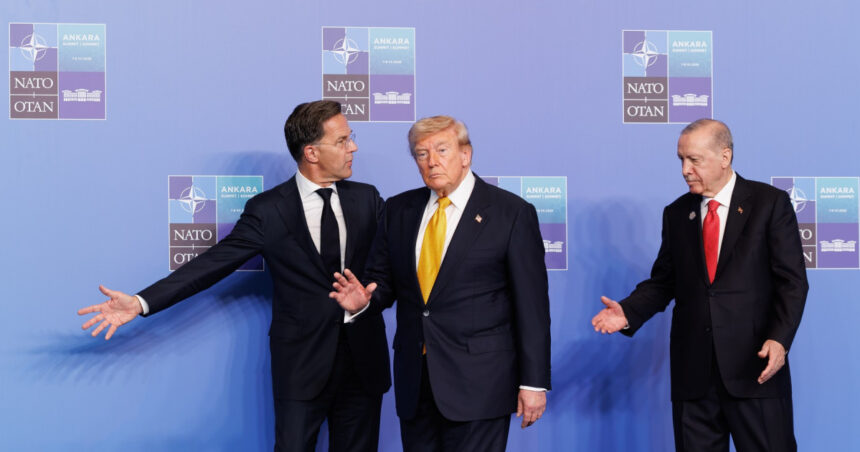 analiza nato a trecut cu bine la ankara peste o noua furtuna trump dar urmeaza alta revizuirea prezentei trupelor americane in europa 6a507708df0d9