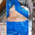 anpc a controlat peste 1 400 de companii si a dat amenzi de 4 milioane de lei saptamana aceasta principalele nereguli descoperite 6a63592a23a30