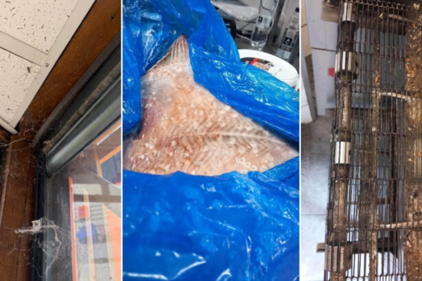 anpc a controlat peste 1 400 de companii si a dat amenzi de 4 milioane de lei saptamana aceasta principalele nereguli descoperite 6a63592a23a30