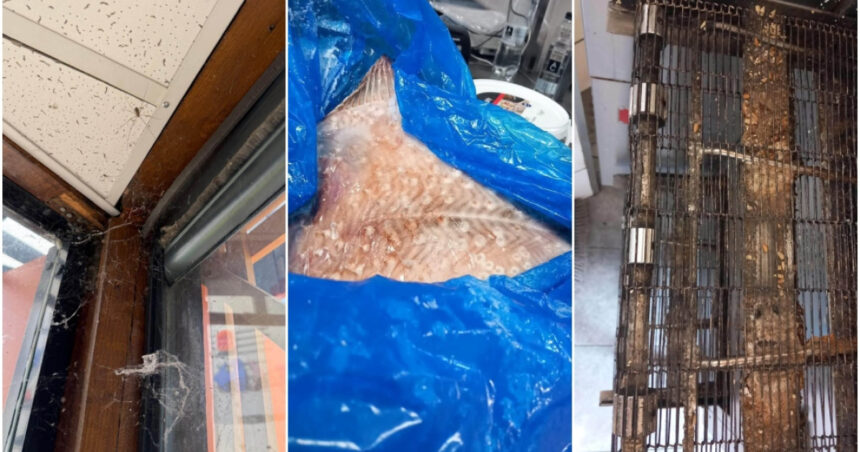 anpc a controlat peste 1 400 de companii si a dat amenzi de 4 milioane de lei saptamana aceasta principalele nereguli descoperite 6a63592a23a30