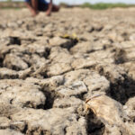 avertismente sumbre ale expertilor despre super el nino fenomenul ar putea creste preturile alimentelor timp de ani de zile 6a574cf95bf40
